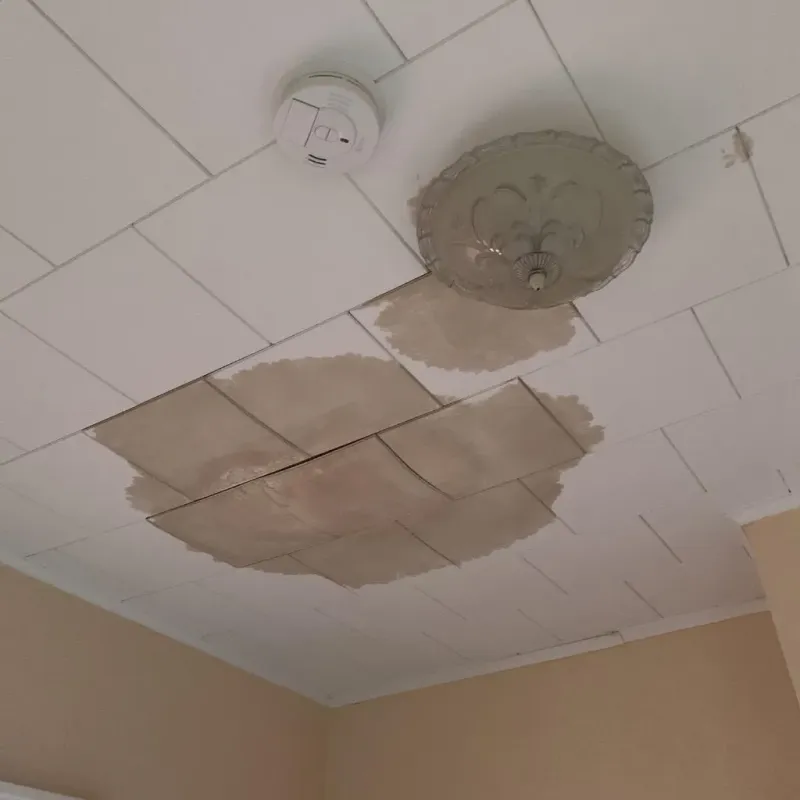 Ceiling Water Damage Repair in Waseca County, MN