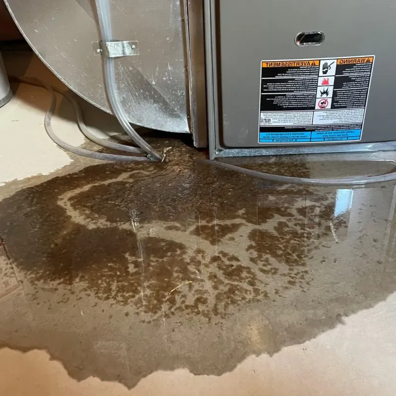 Pipe Burst and Leak Restoration in Waseca County, MN