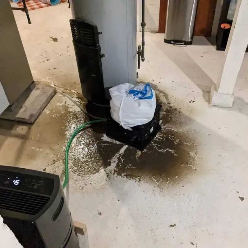 Sewage Backup Cleanup Service in Waseca County, MN